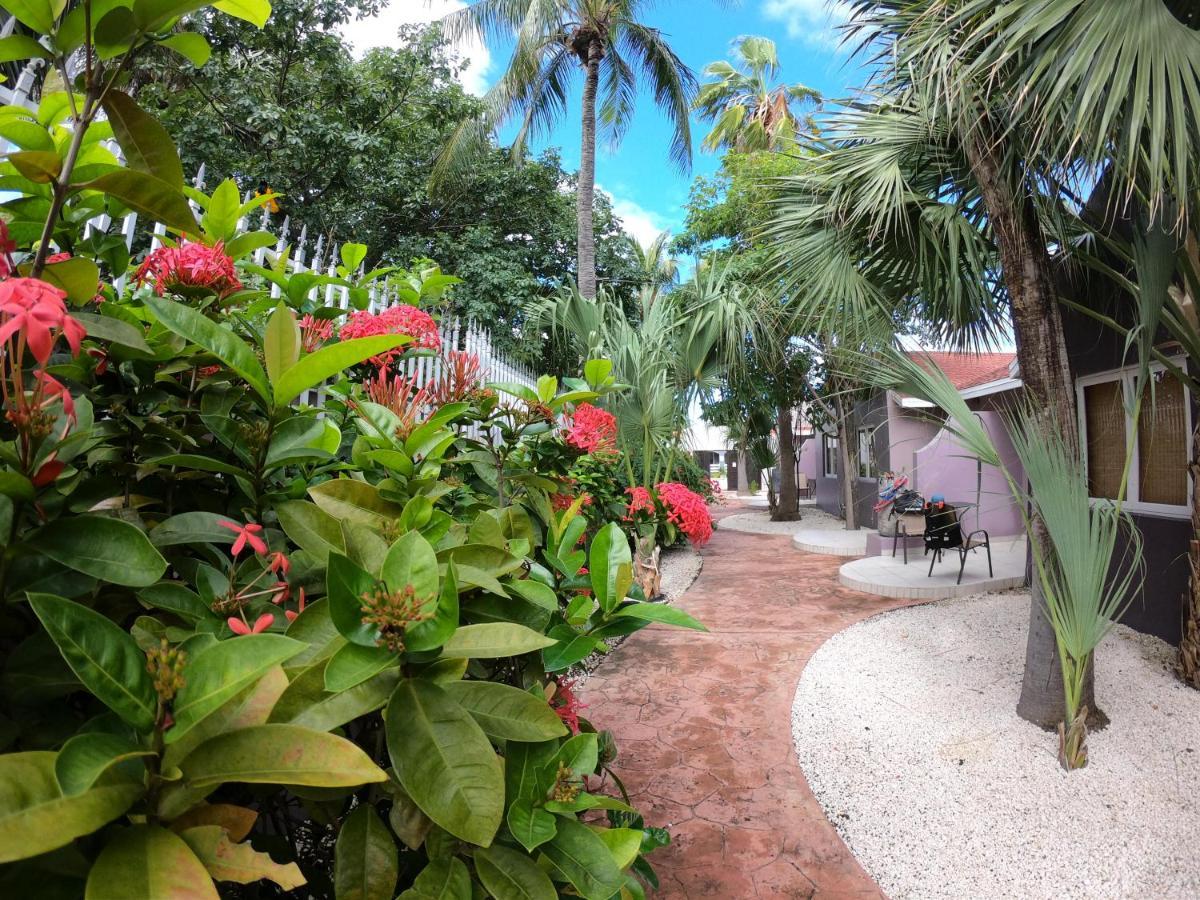 Cadushi Apartments Oranjestad Exterior foto